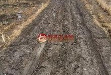 寿县论坛最新爆料,揭秘当地最新热点事件