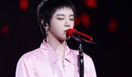 张效节华晨宇最新爆料,揭秘音乐背后的故事与情感